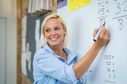 school improvement partner